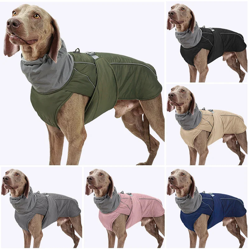 FurShield Winter Dog Jacket - Cotton Coat for Pets