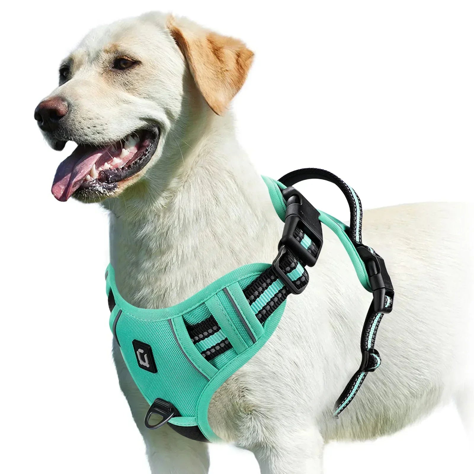 Adjustable No-Pull Dog Harness - Effective and Comfortable