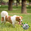 Sustainable Dog Sport Ball with Handles – TugBounce