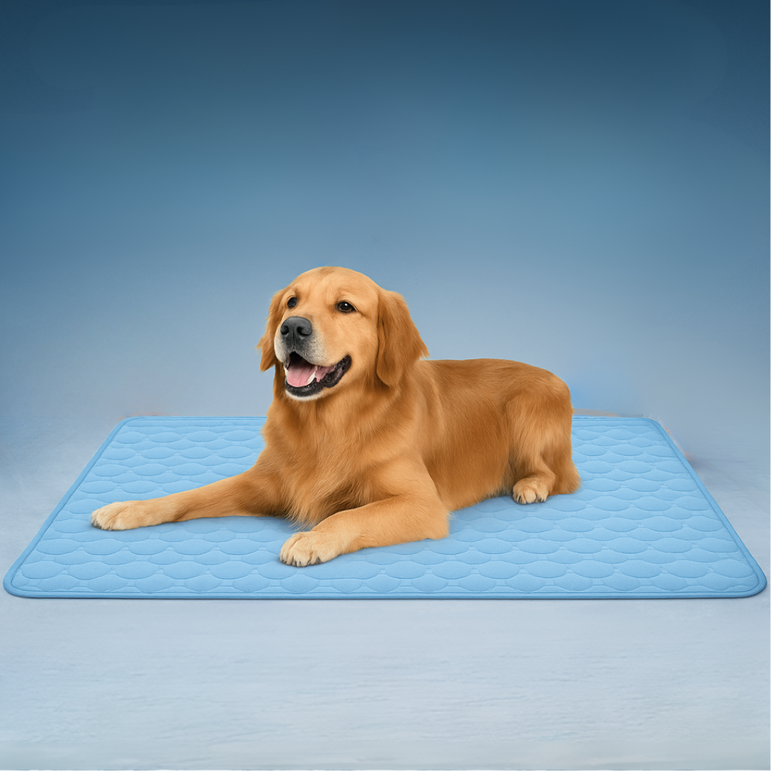 Cooluxe - Cooling Mat - Don't let your dog suffer in the heat this summer!