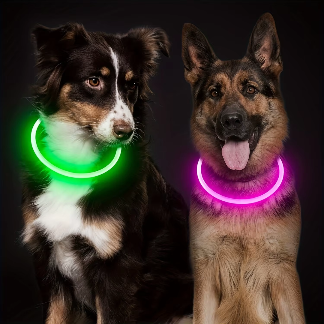 GlowSafe LED Dog Collar – Rechargeable USB Safety Light
