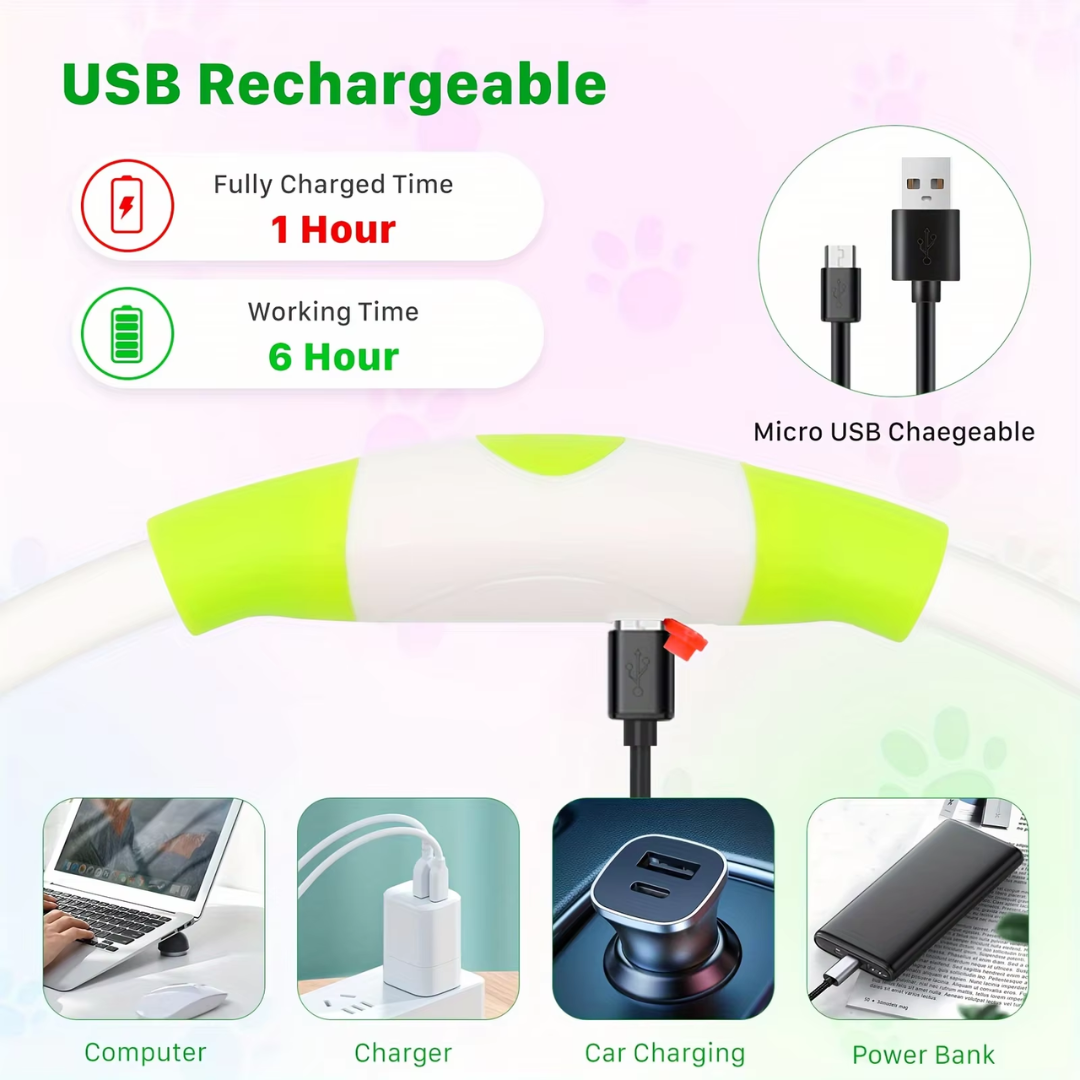 GlowSafe LED Dog Collar – Rechargeable USB Safety Light