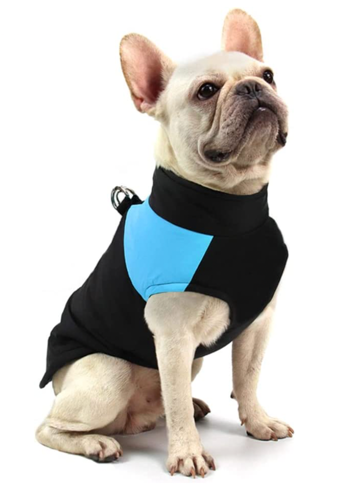 CozyPaws Dog Coat - Warm & Waterproof