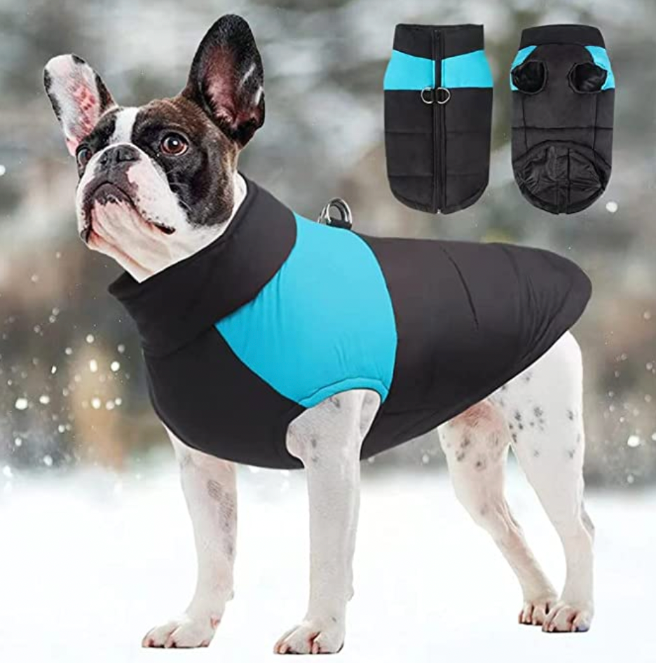 CozyPaws Dog Coat - Warm & Waterproof