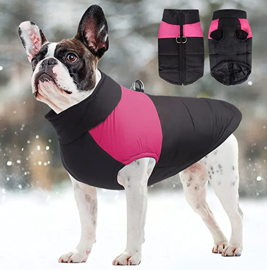 CozyPaws Dog Coat - Warm & Waterproof