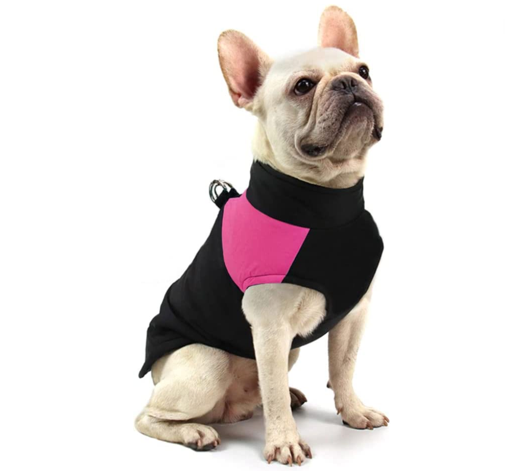 CozyPaws Dog Coat - Warm & Waterproof