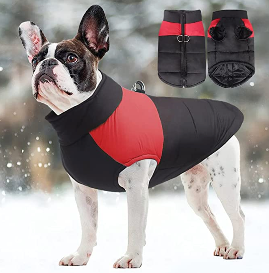 CozyPaws Dog Coat - Warm & Waterproof
