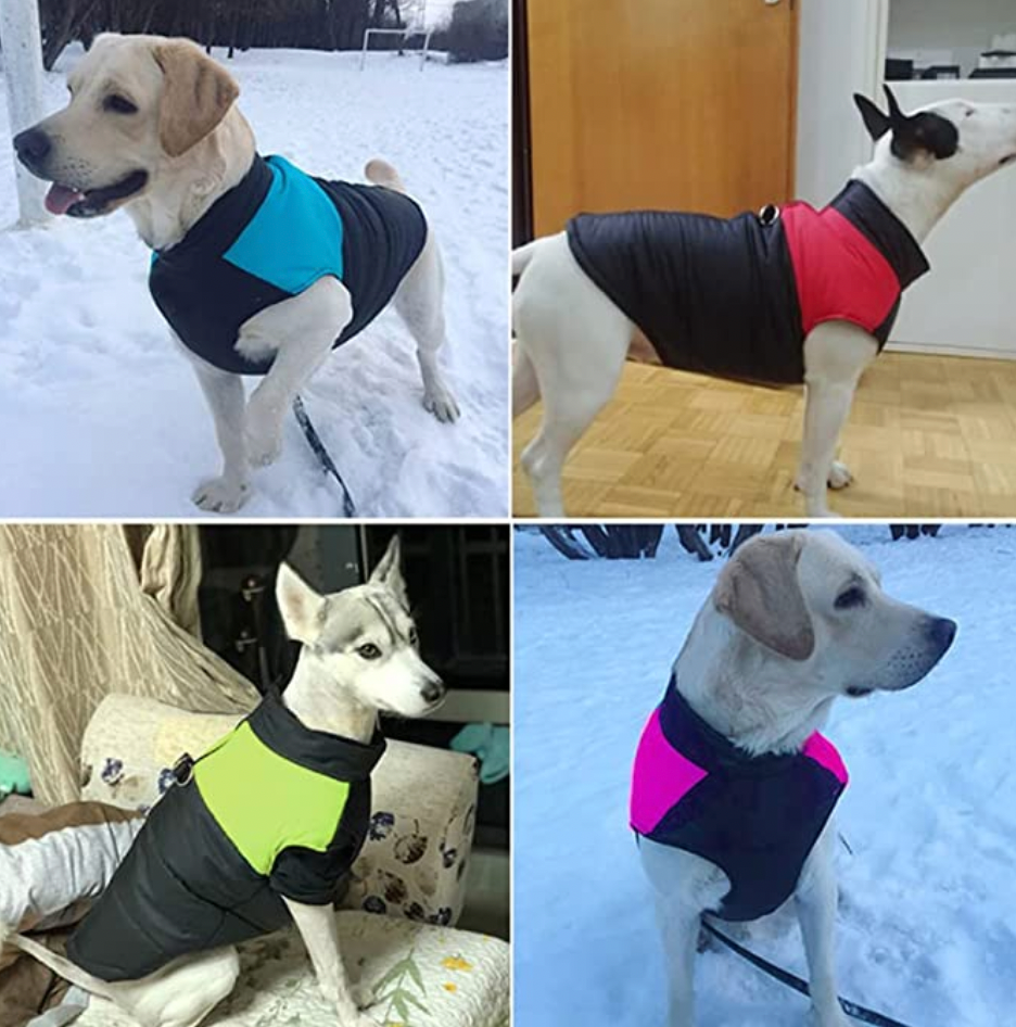 CozyPaws Dog Coat - Warm & Waterproof
