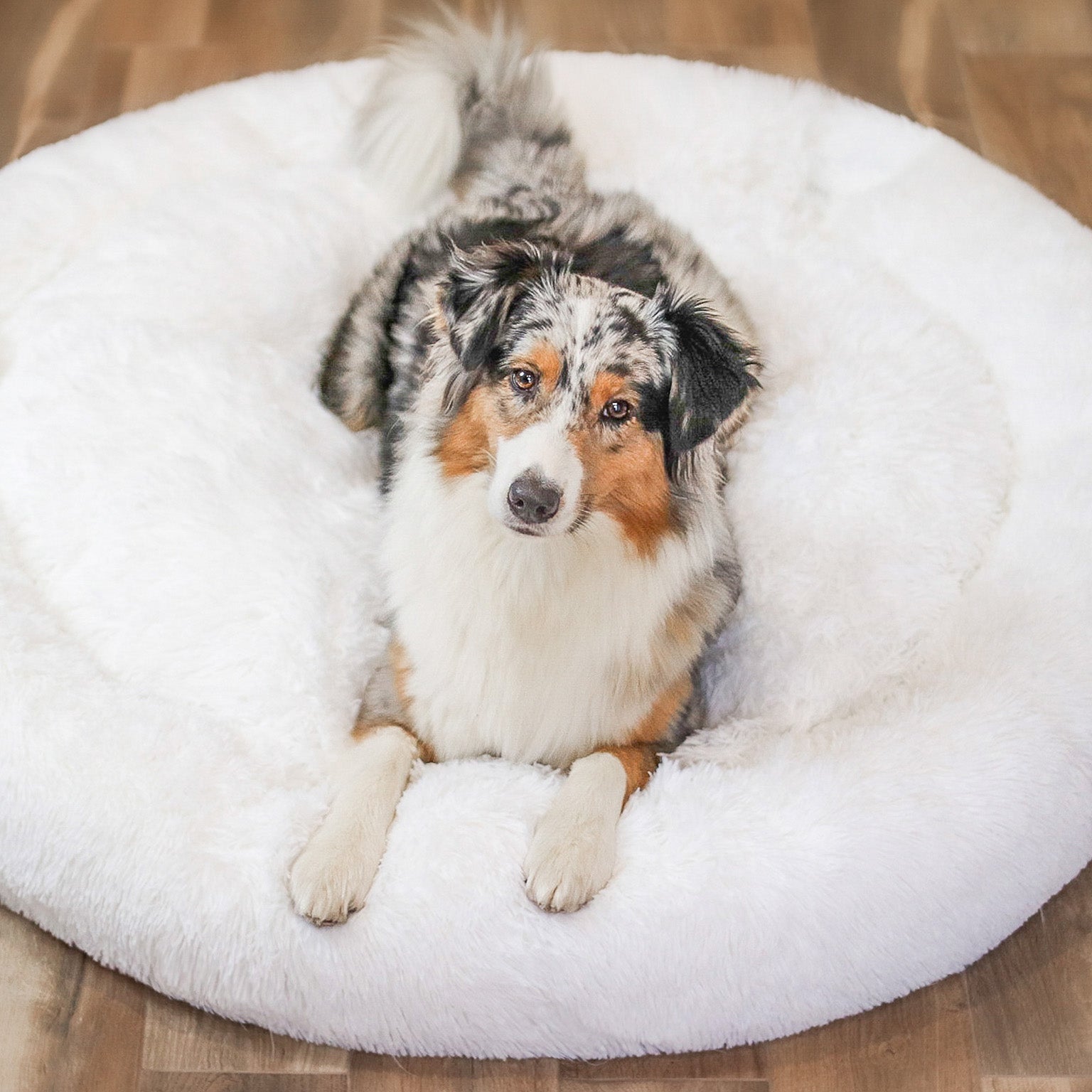 Fluffy Plus Dog Bed – The Original
