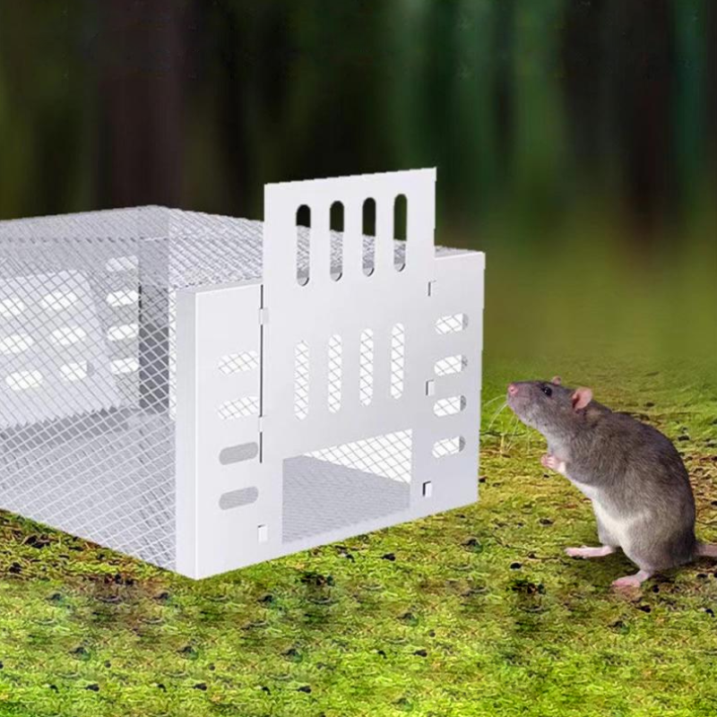 Humane Mouse Trap – Reusable, Spacious Live Catch Cage for Safe & Ethical Rodent Control