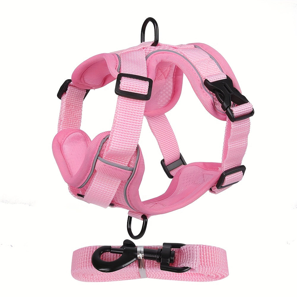 Reflective Cat Harness and Lead Set – Ideal for Walking and Training