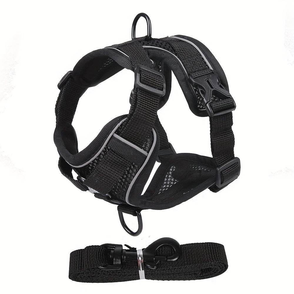 Reflective Cat Harness and Lead Set – Ideal for Walking and Training