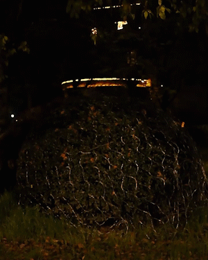 Solar Fish Net Lights