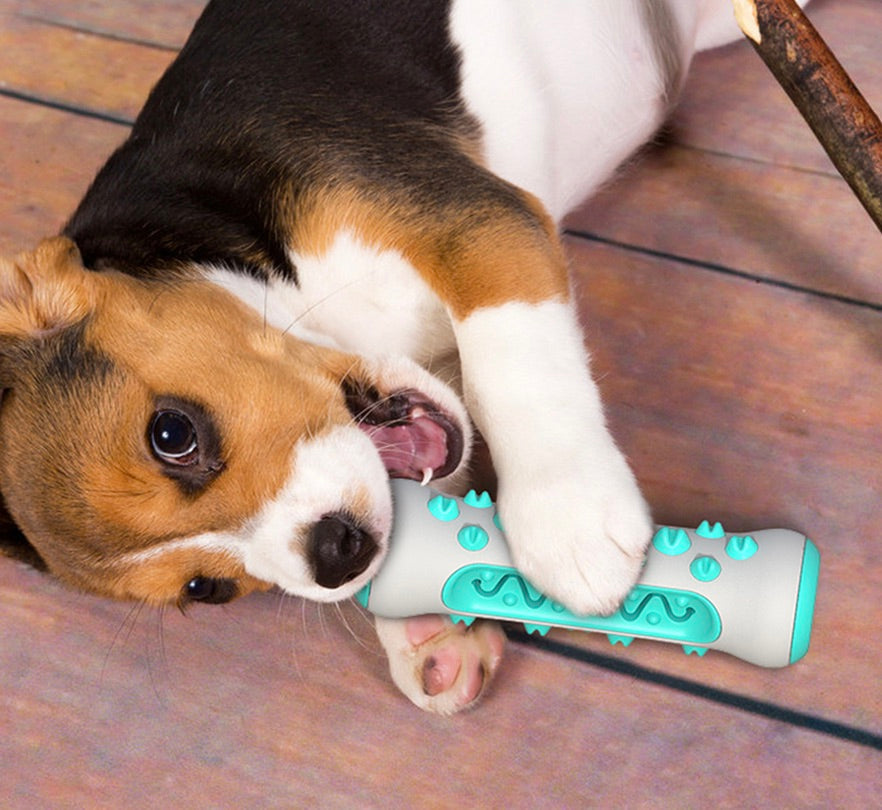 Dog Dental Chew Toy – Chewly