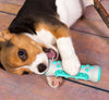 Dog Dental Chew Toy – Chewly