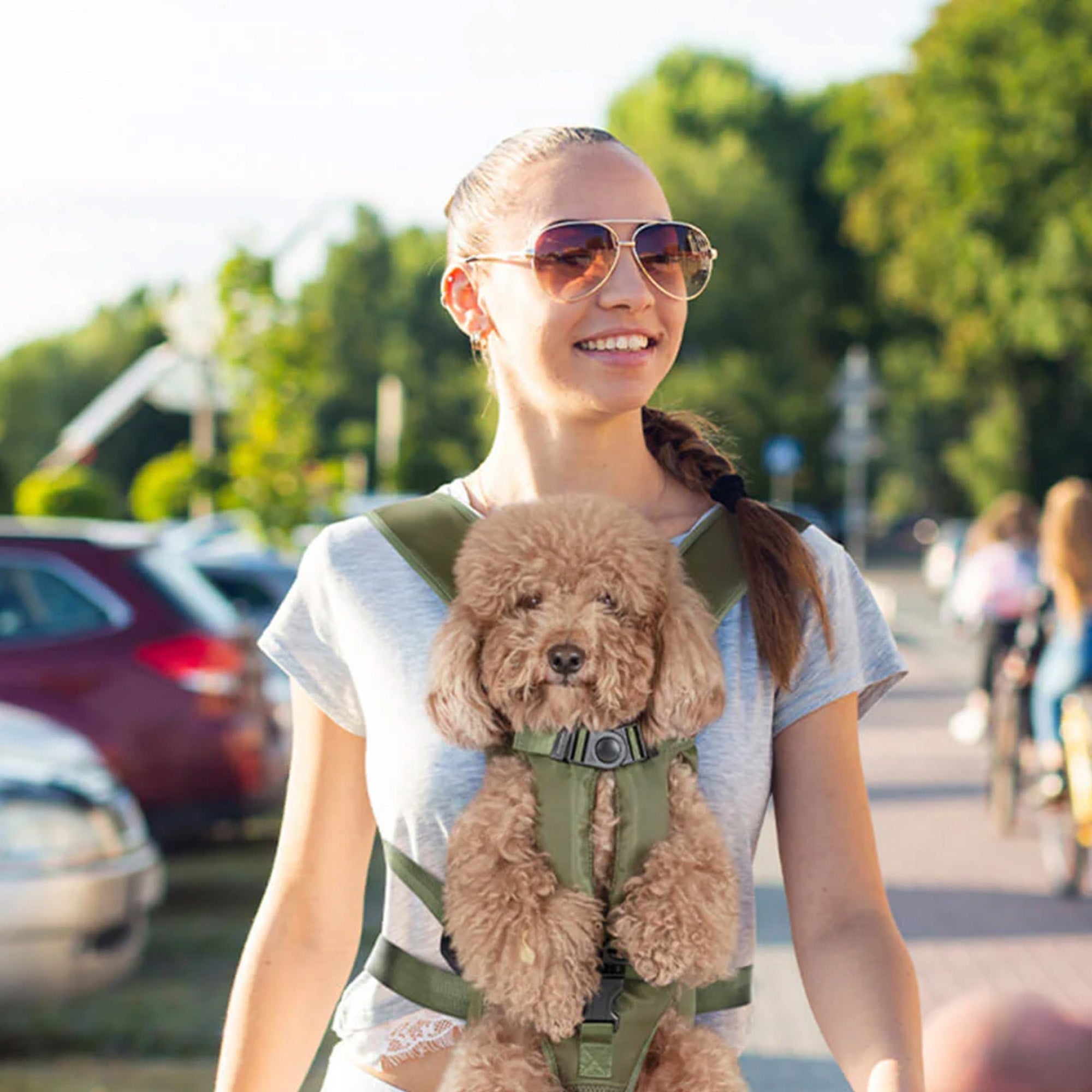 Portable Pet Carrier - Breathable & Travel-Ready