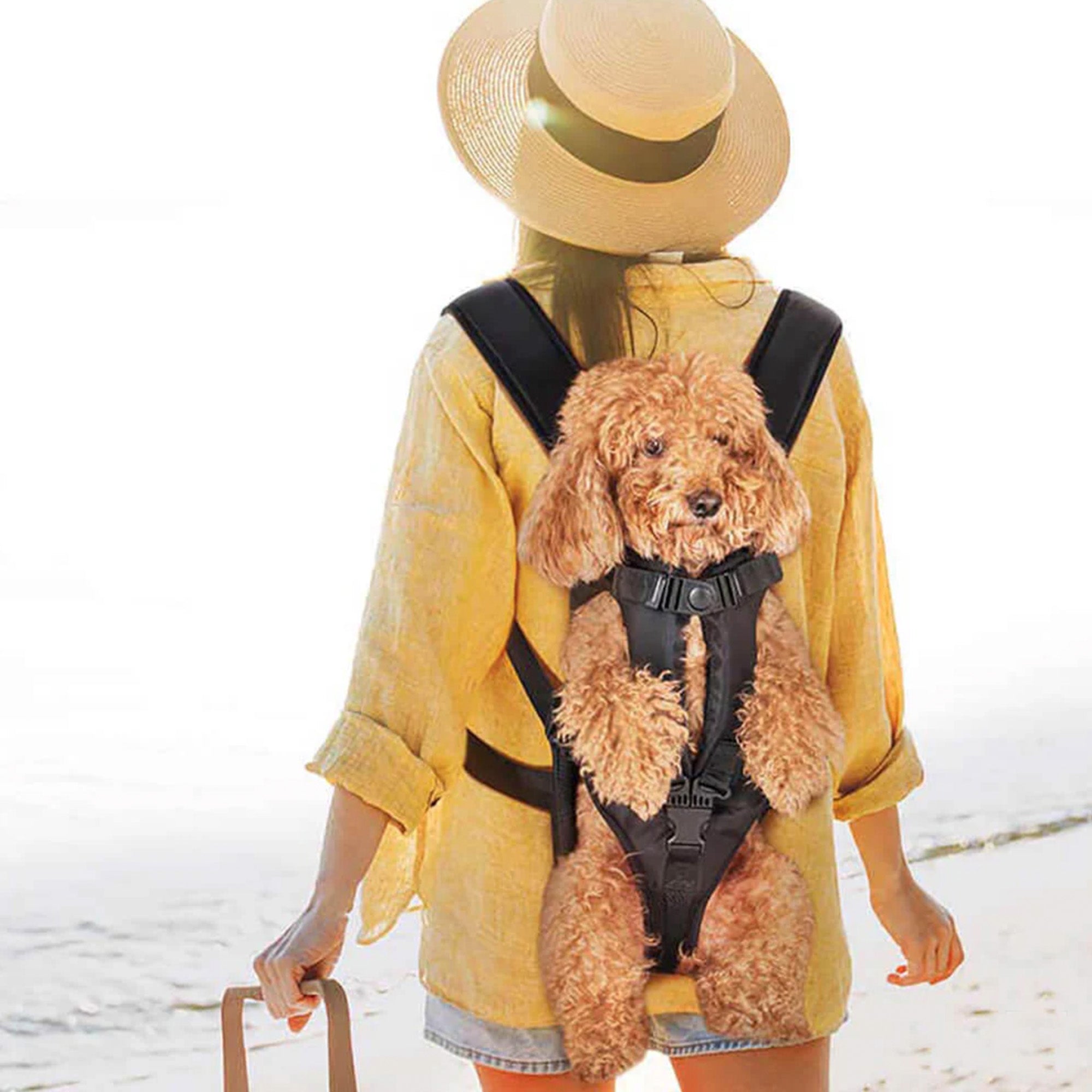 Portable Pet Carrier - Breathable & Travel-Ready