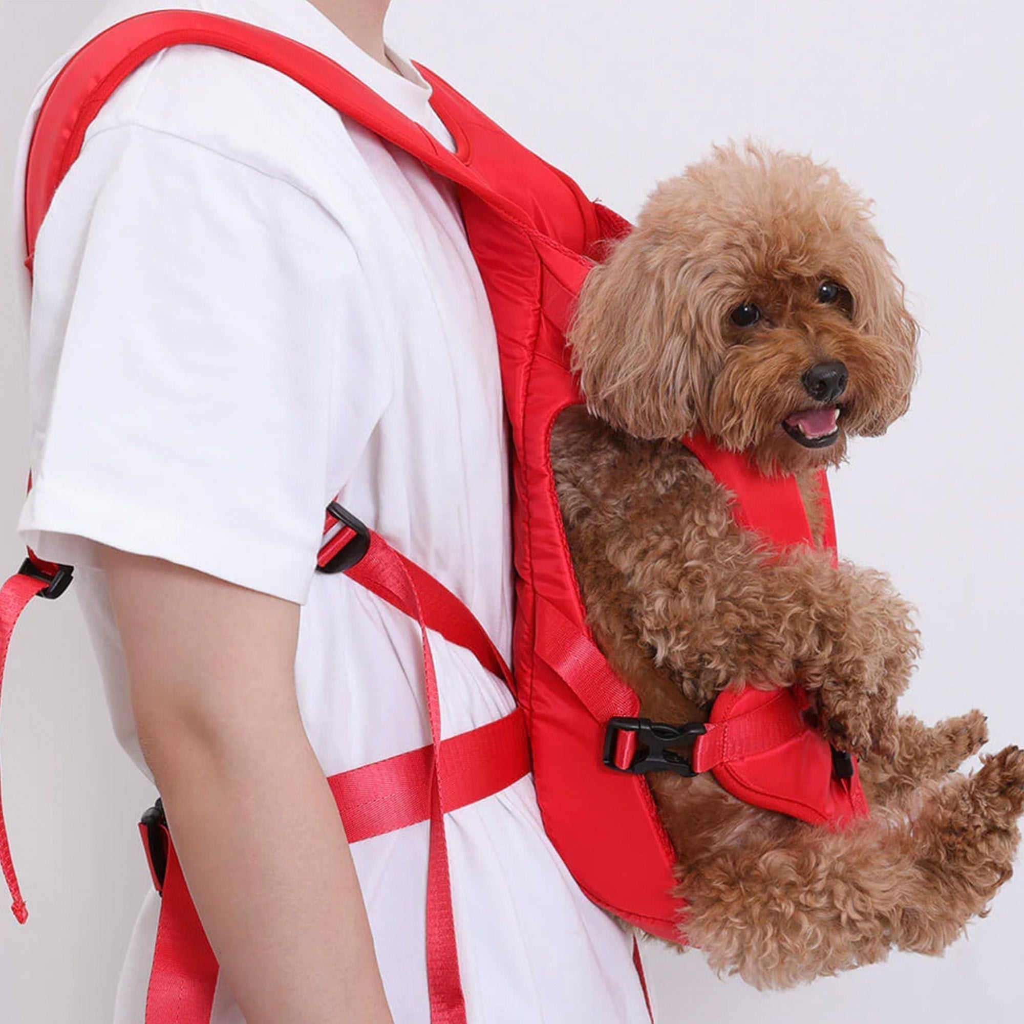 Portable Pet Carrier - Breathable & Travel-Ready