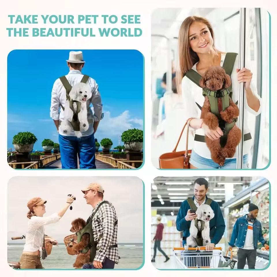Portable Pet Carrier - Breathable & Travel-Ready