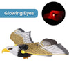 Interactive Cat Toy for Fun and Exercise – FeatherFlight™
