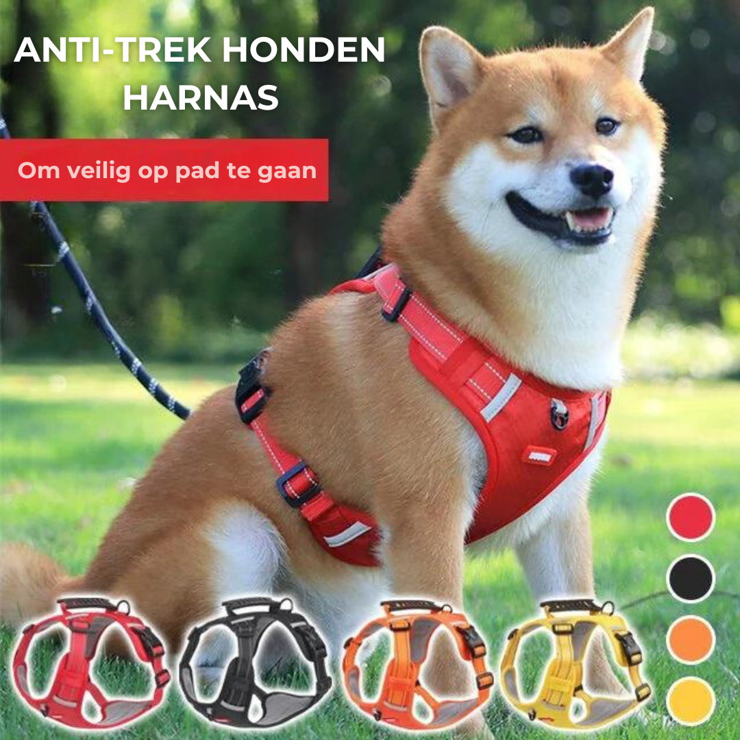 Robust & Comfortable Dog Harness - ActivePup™