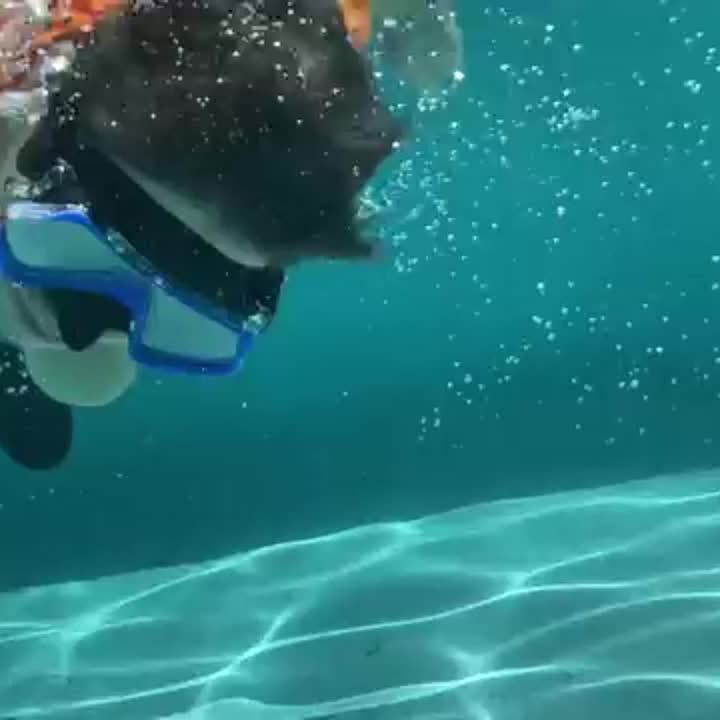 AquaClear Snorkel Set – Leakproof, Comfortable and with Great Visibility