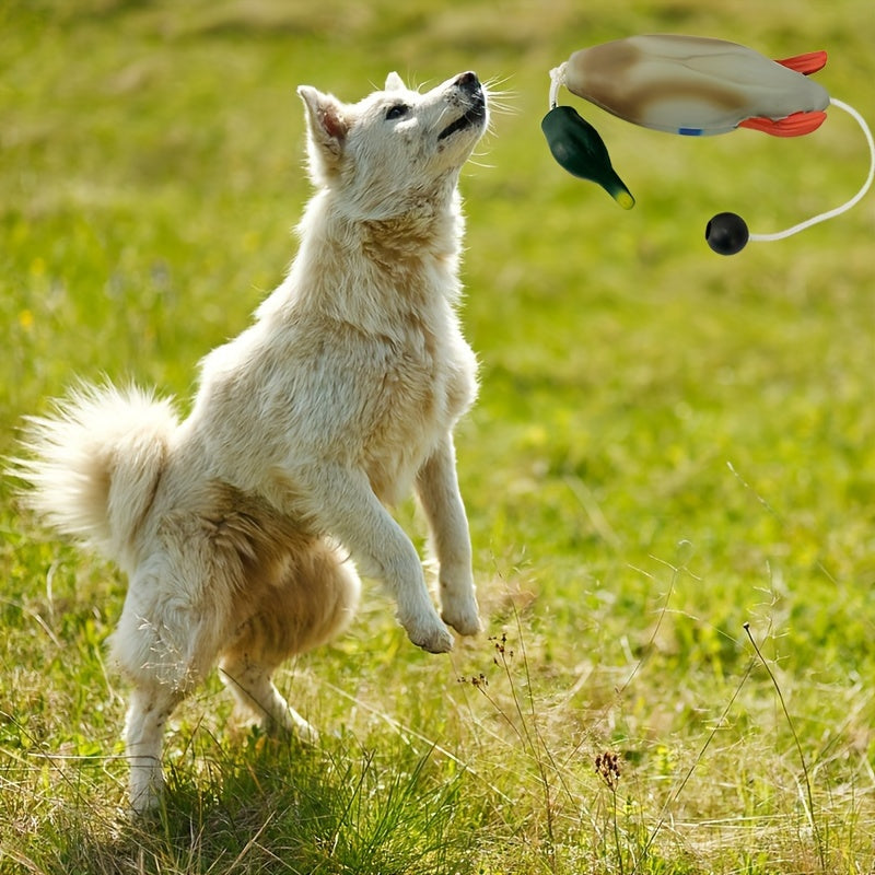 Mallard Retriever – Durable Plastic Duck Bumper Training Toy