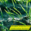 Biodegradable Lawn Seed Mat - Verdi