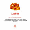 Retro Flower Earrings with Amber - Nora