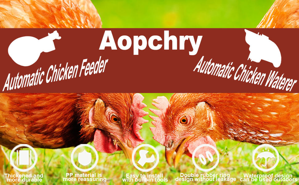 Set of 10 Chicken Drinkers – Practical and Efficient