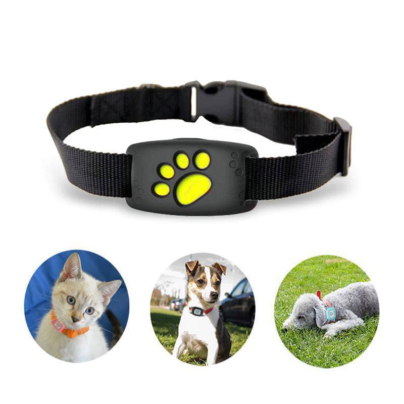 Intelligent GPS Collar for Cats and Small Dogs – PawTrack