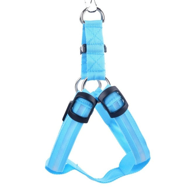 Dog Harness with LED - Glow&Go