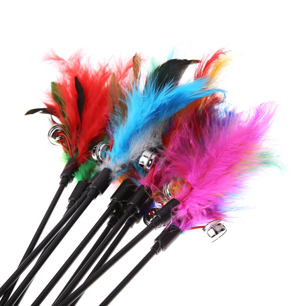 Cat Toy with Feathers (5 Pieces) – FeatherChase