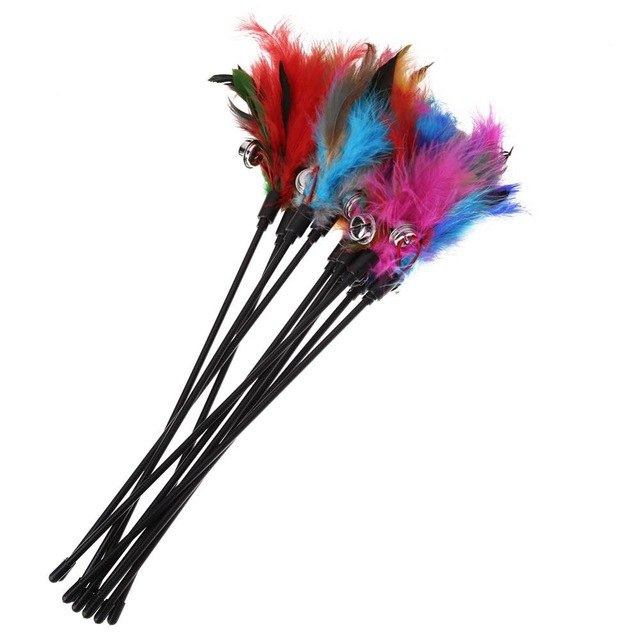 Cat Toy with Feathers (5 Pieces) – FeatherChase