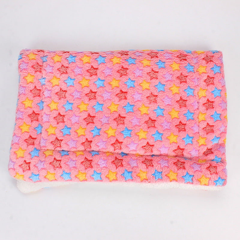 Luxe Pet Blanket - Winter Magic CozyCompanion