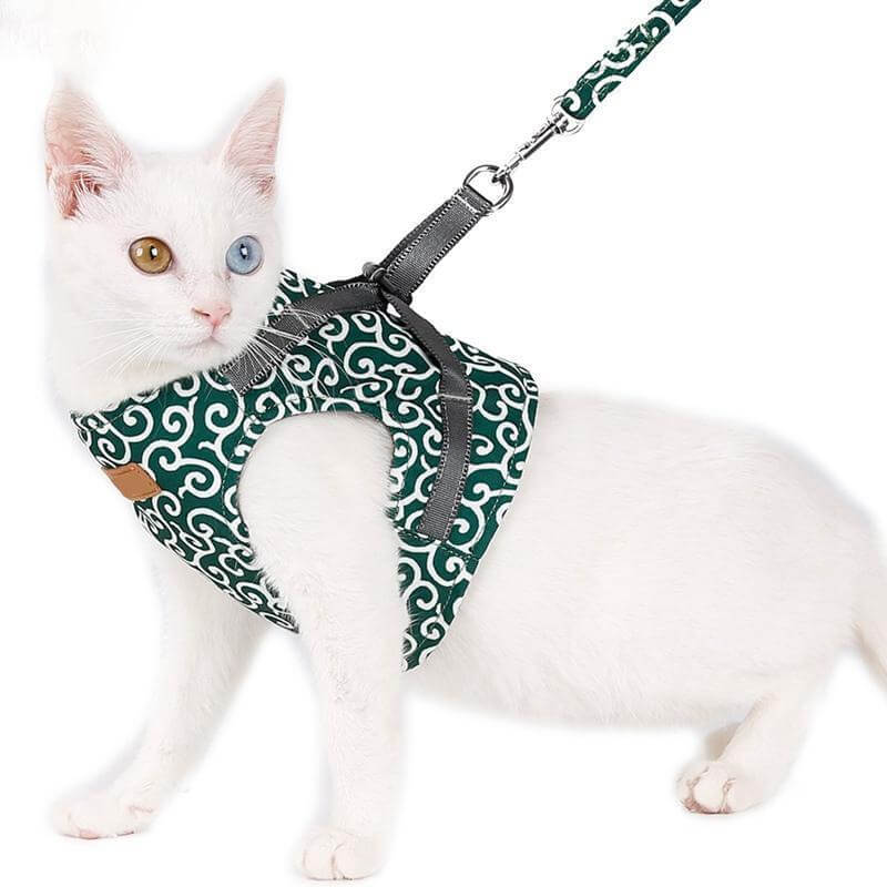 Cat Vest | Harness Set | Comfortable Adjustable Mesh Vest | Perfect for Walking, Jogging, and Hiking | Size XS-S | Includes 1.2m Leash | Polyester | Ideal for Kittens and Adult Cats