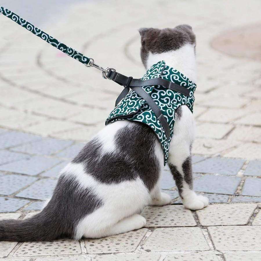 Cat Vest | Harness Set | Comfortable Adjustable Mesh Vest | Perfect for Walking, Jogging, and Hiking | Size XS-S | Includes 1.2m Leash | Polyester | Ideal for Kittens and Adult Cats