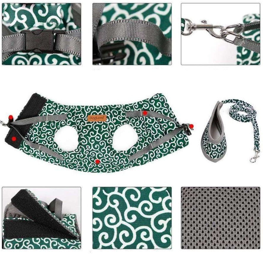 Cat Vest | Harness Set | Comfortable Adjustable Mesh Vest | Perfect for Walking, Jogging, and Hiking | Size XS-S | Includes 1.2m Leash | Polyester | Ideal for Kittens and Adult Cats