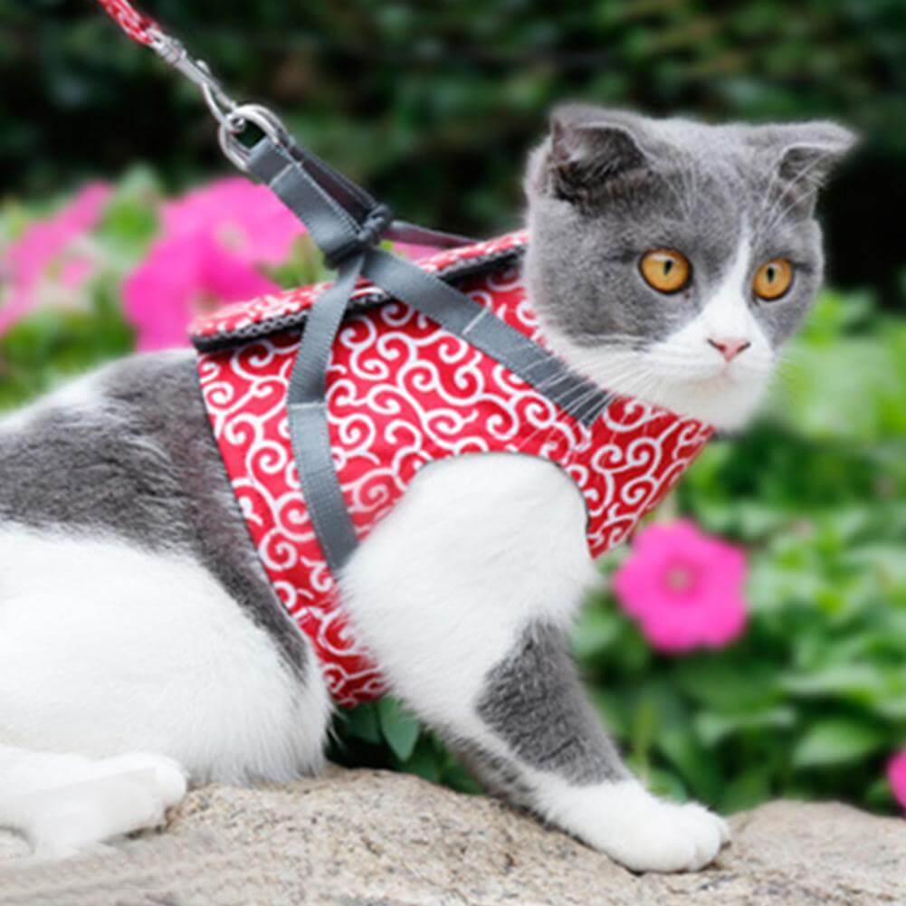Cat Vest | Harness Set | Comfortable Adjustable Mesh Vest | Perfect for Walking, Jogging, and Hiking | Size XS-S | Includes 1.2m Leash | Polyester | Ideal for Kittens and Adult Cats