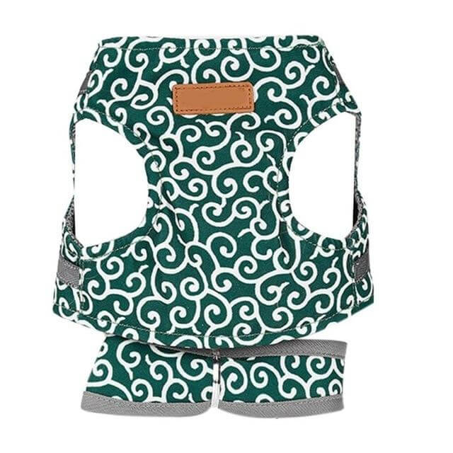 Cat Vest | Harness Set | Comfortable Adjustable Mesh Vest | Perfect for Walking, Jogging, and Hiking | Size XS-S | Includes 1.2m Leash | Polyester | Ideal for Kittens and Adult Cats