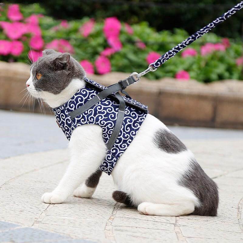 Cat Vest | Harness Set | Comfortable Adjustable Mesh Vest | Perfect for Walking, Jogging, and Hiking | Size XS-S | Includes 1.2m Leash | Polyester | Ideal for Kittens and Adult Cats