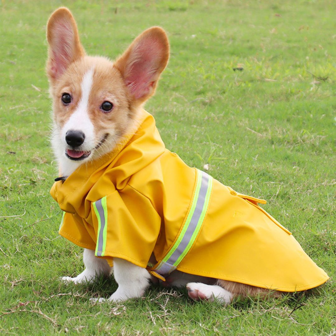 Waterproof Dog Coat | Comfortable and Durable