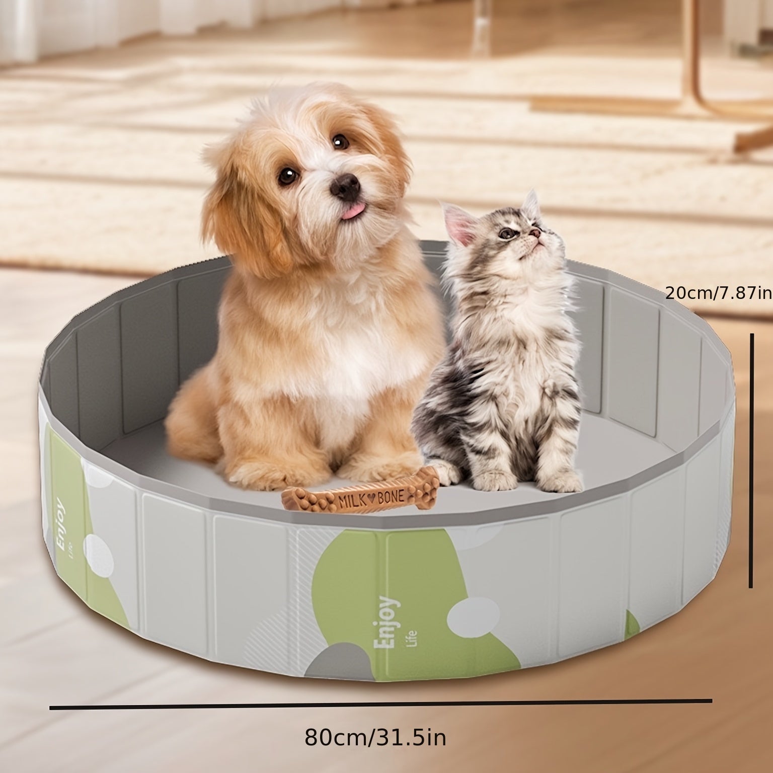 Portable Cooling Bath for Dogs – Comfortable and Safe for Summer Days