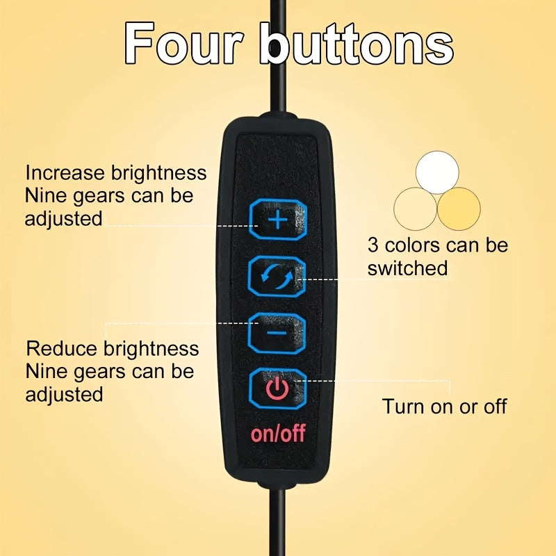 Spiral LED Desk Lamp – Modern Dimmable Lighting