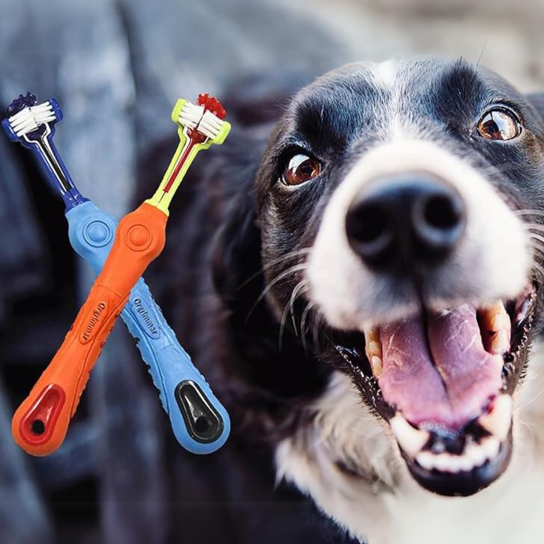 2-Part Three-Sided Pet Toothbrush – Gum Inflammation Control for Healthy Teeth