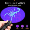 LED UV Torch - Ultraviolet Inspection Lamp for Pet Urine and Stain Detection