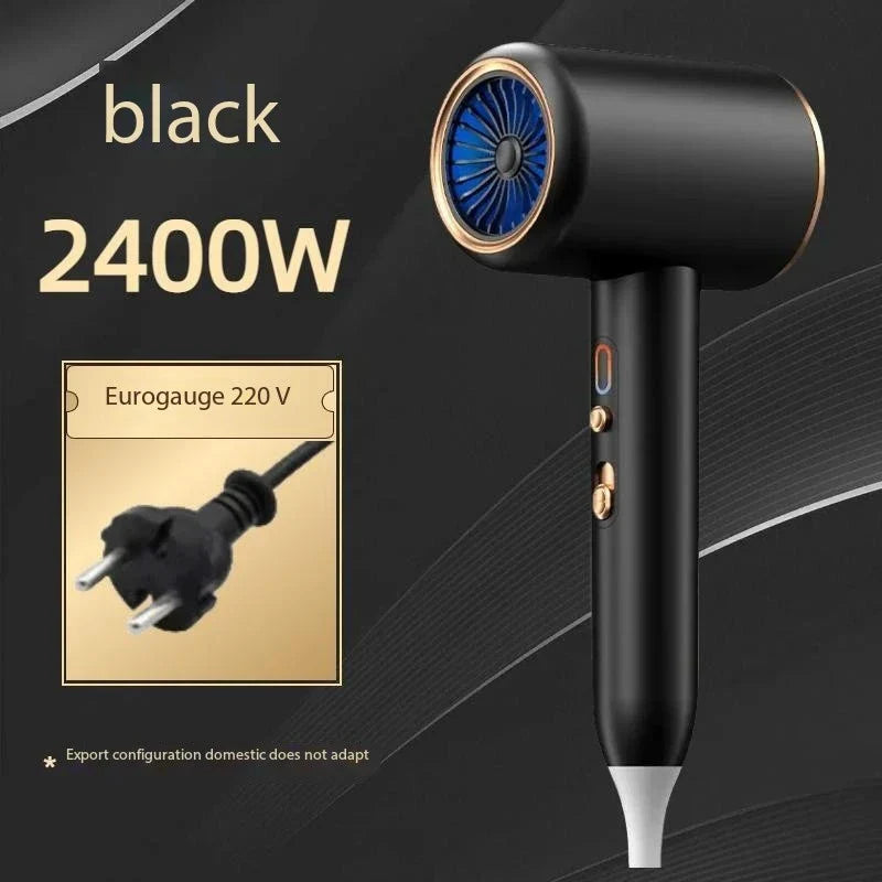 Professional Hair Dryer 2400W with Cool and Warm Air - Negative Ions - Powerful Hairdryer for Salon Results
