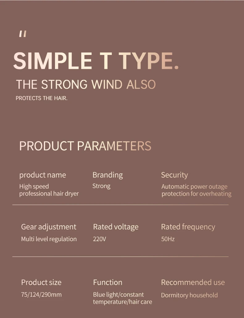 Professional Hair Dryer 2400W with Cool and Warm Air - Negative Ions - Powerful Hairdryer for Salon Results