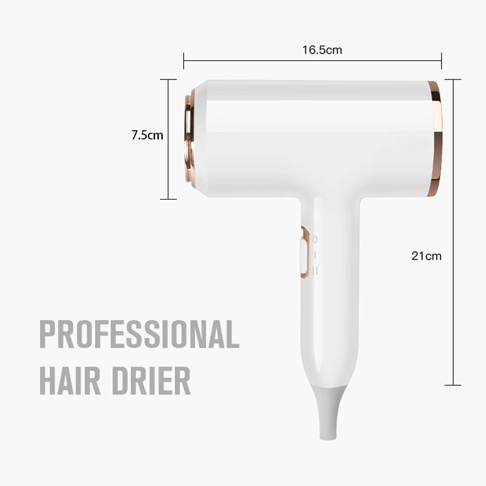 Professional Hair Dryer 2400W with Cool and Warm Air - Negative Ions - Powerful Hairdryer for Salon Results