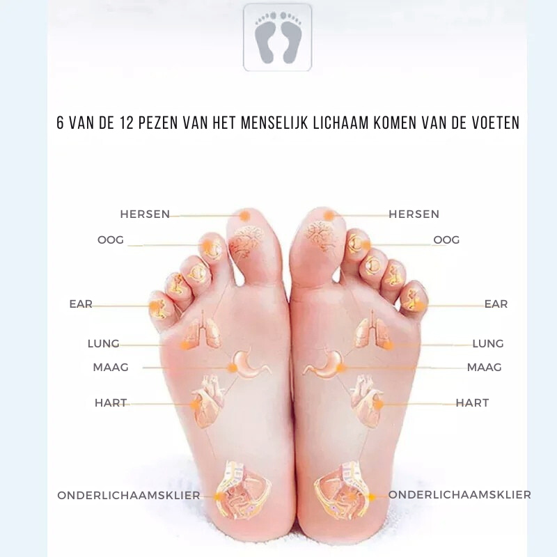 Callen EMS Foot Massage Cushion - Electronic Relaxation